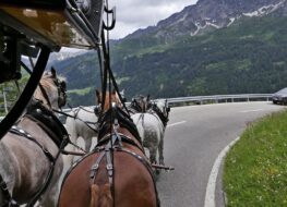 031 - aussicht aus der kabine der kutsche